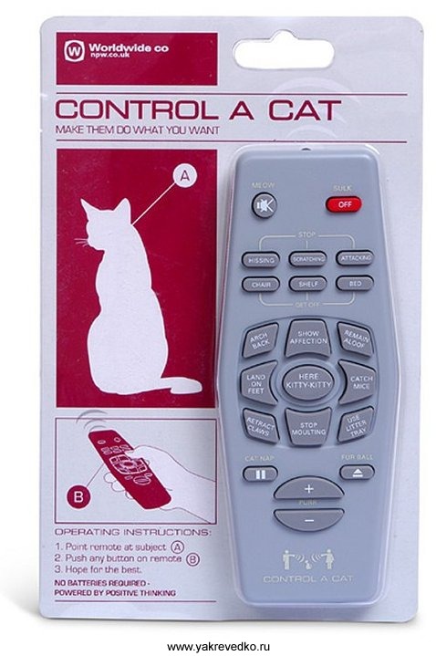 CONTROL  A  CAT